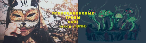 скорость Гусь-Хрустальный