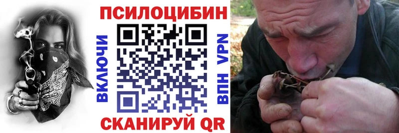 Галлюциногенные грибы GOLDEN TEACHER  blacksprut вход  Нефтекамск  нарко площадка состав  как найти закладки 